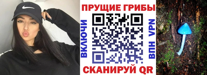 Купить где  Новая Усмань  Галлюциногенные грибы мухоморы 